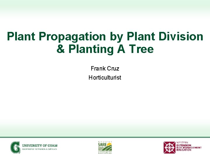 Plant Propagation by Plant Division & Planting A Tree Frank Cruz Horticulturist 
