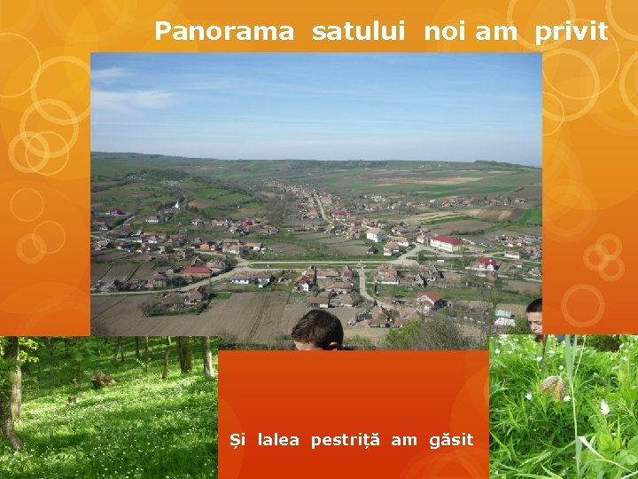 Panorama satului noi am privit Și lalea pestriță am găsit 
