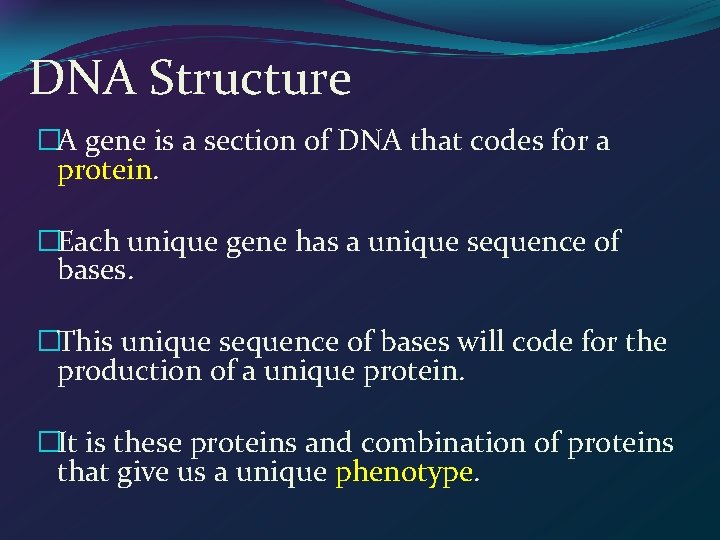 DNA Structure �A gene is a section of DNA that codes for a protein.