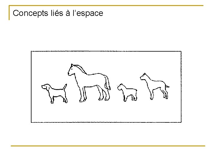 Concepts liés à l’espace 