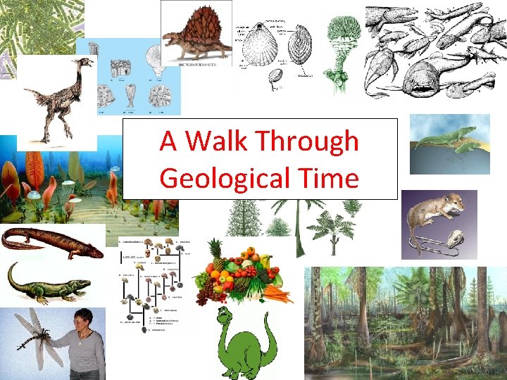 A Walk Through Geological Time 