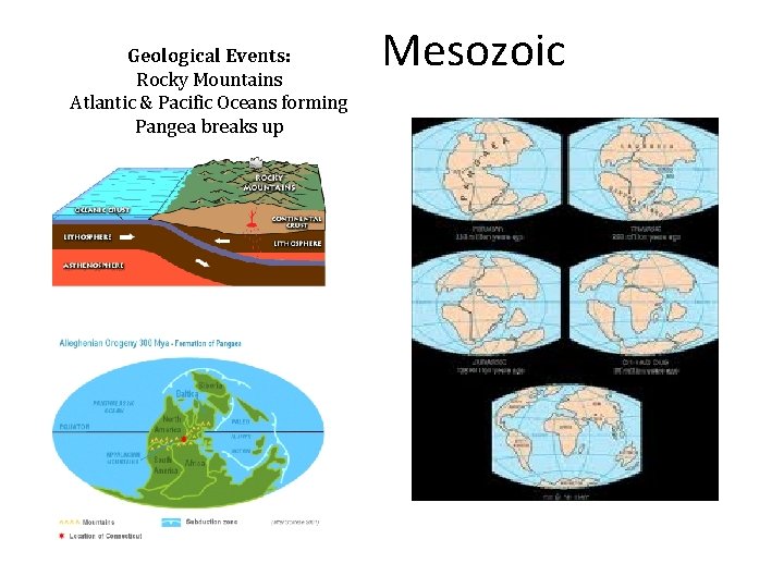 Geological Events: Rocky Mountains Atlantic & Pacific Oceans forming Pangea breaks up Mesozoic 