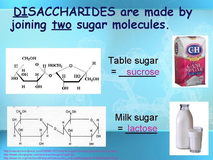 DISACCHARIDES are made by joining two sugar molecules. Table sugar sucrose = _______ Milk