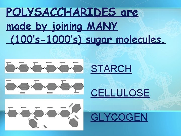 POLYSACCHARIDES are made by joining MANY (100’s-1000’s) sugar molecules. STARCH CELLULOSE GLYCOGEN 