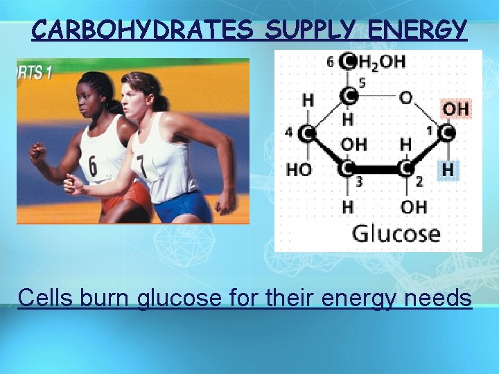 CARBOHYDRATES SUPPLY ENERGY Cells burn glucose for their energy needs 