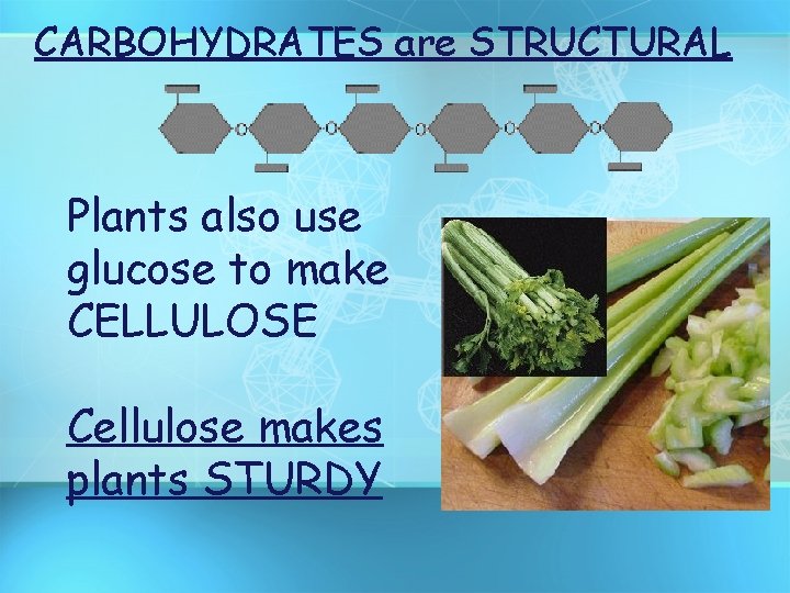 CARBOHYDRATES are STRUCTURAL Plants also use glucose to make CELLULOSE Cellulose makes plants STURDY