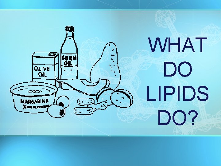 WHAT DO LIPIDS DO? 