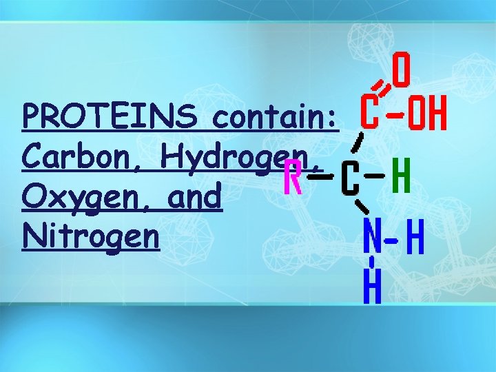 PROTEINS contain: Carbon, Hydrogen, Oxygen, and Nitrogen 