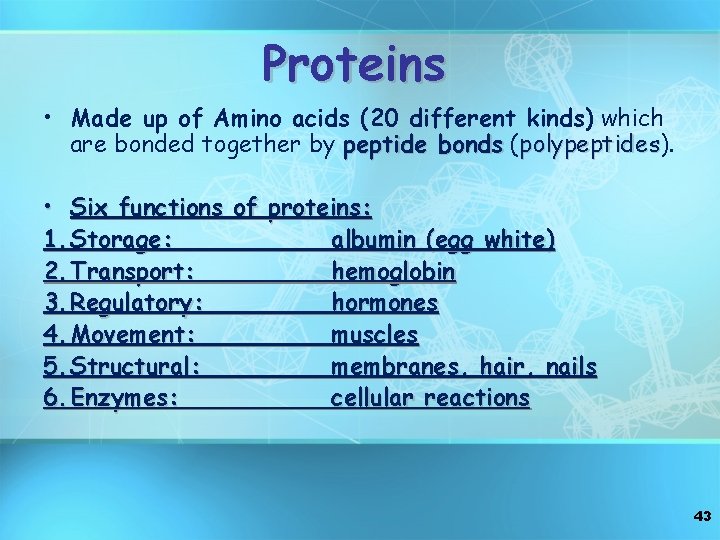 Proteins • Made up of Amino acids (20 different kinds) which are bonded together