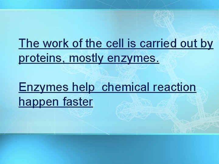 The work of the cell is carried out by proteins, mostly enzymes. Enzymes help