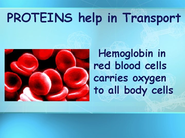 PROTEINS help in Transport Hemoglobin in red blood cells carries oxygen to all body