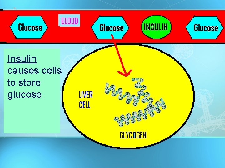 Insulin causes cells to store glucose 