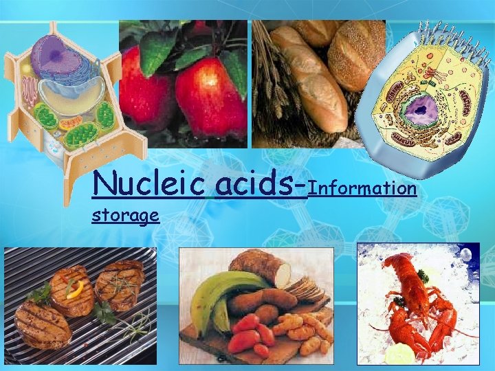 Nucleic acids-Information storage 2006 -2007 