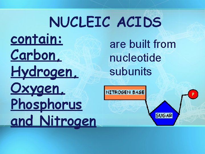 NUCLEIC ACIDS contain: are built from Carbon, nucleotide subunits Hydrogen, Oxygen, Phosphorus and Nitrogen