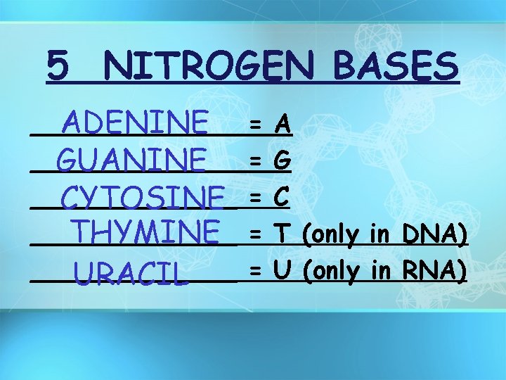 5 NITROGEN BASES _______ ADENINE _______ GUANINE _______ CYTOSINE _______ THYMINE _______ URACIL =