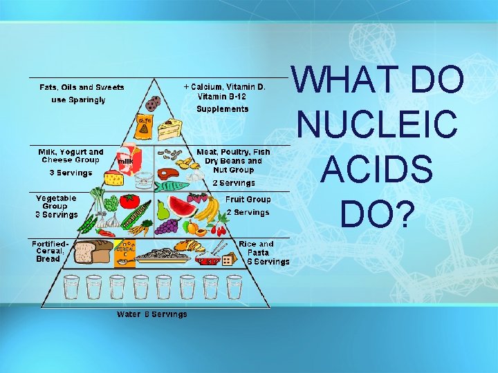 WHAT DO NUCLEIC ACIDS DO? 