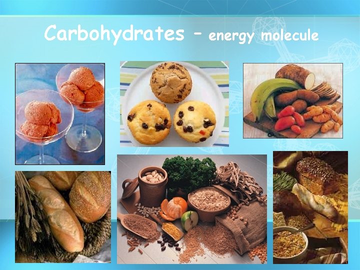 Carbohydrates – energy molecule 