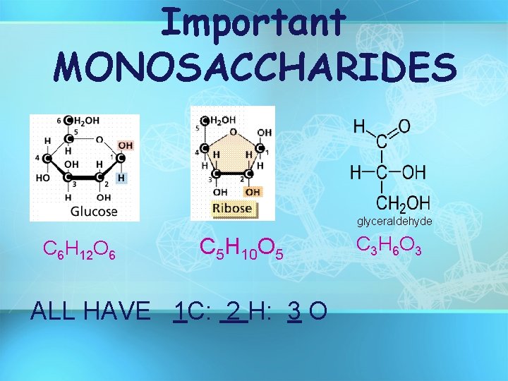 Important MONOSACCHARIDES glyceraldehyde C 6 H 12 O 6 C 5 H 10 O