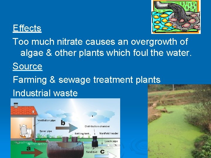 Effects Too much nitrate causes an overgrowth of algae & other plants which foul