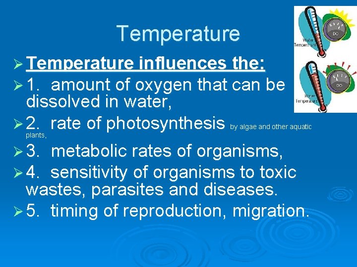 Temperature Ø Temperature influences the: Ø 1. amount of oxygen that can be dissolved