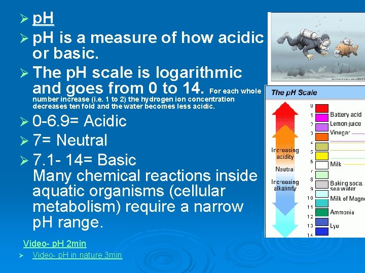 Ø p. H is a measure of how acidic or basic. Ø The p.