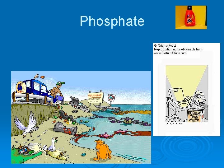 Phosphate 