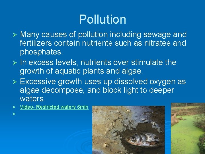 Pollution Many causes of pollution including sewage and fertilizers contain nutrients such as nitrates