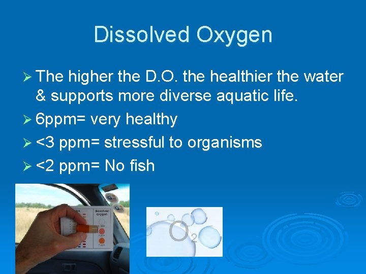 Dissolved Oxygen Ø The higher the D. O. the healthier the water & supports