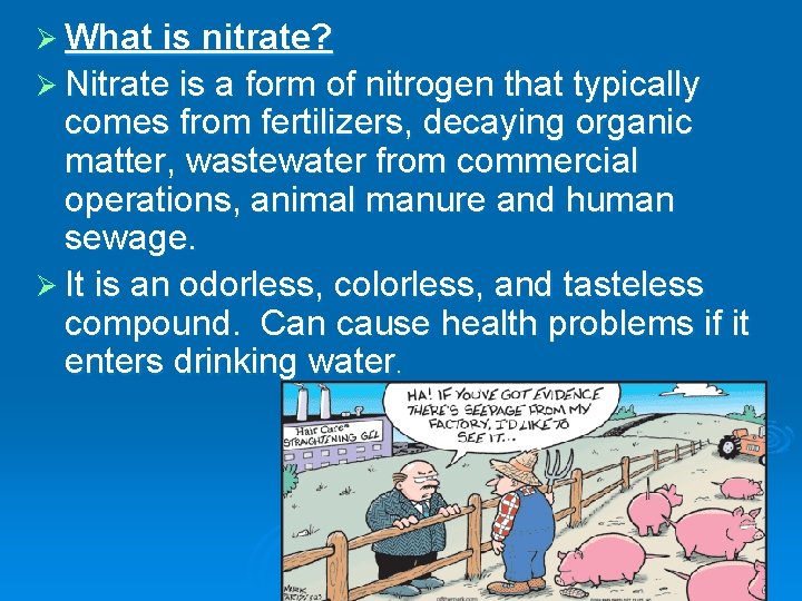 Ø What is nitrate? Ø Nitrate is a form of nitrogen that typically comes