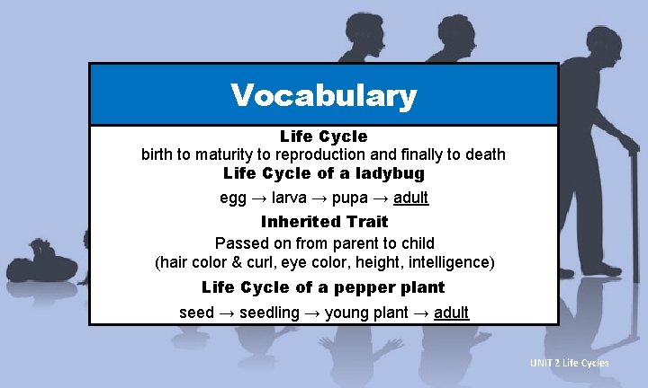 Vocabulary Life Cycle birth to maturity to reproduction and finally to death Life Cycle