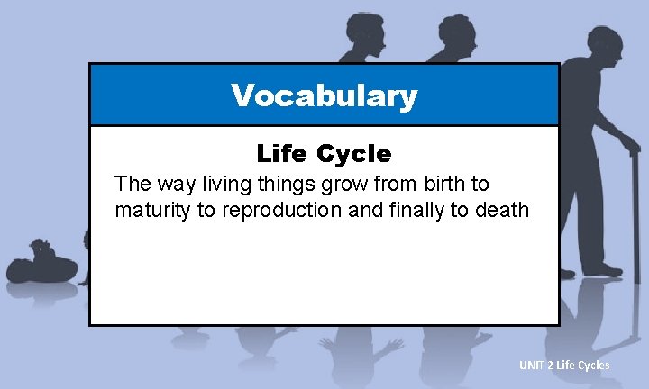 Vocabulary Life Cycle The way living things grow from birth to maturity to reproduction