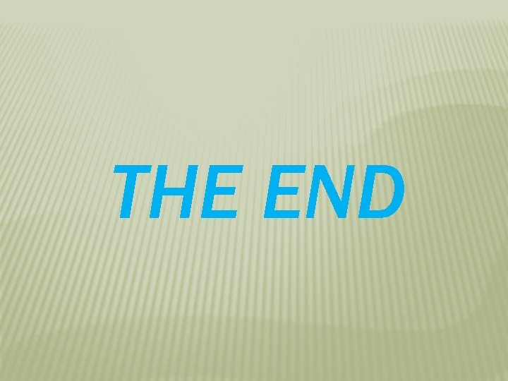 THE END 