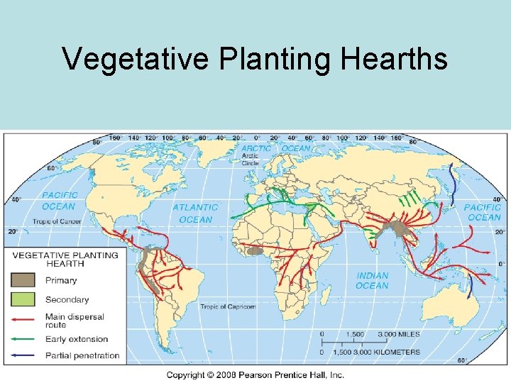 Vegetative Planting Hearths 