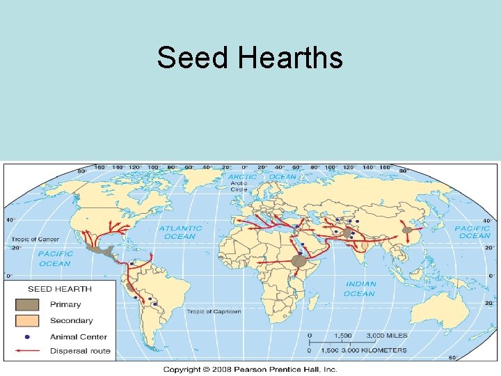 Seed Hearths 