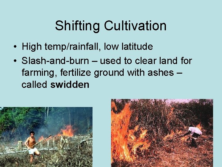 Shifting Cultivation • High temp/rainfall, low latitude • Slash-and-burn – used to clear land