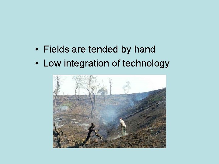  • Fields are tended by hand • Low integration of technology 