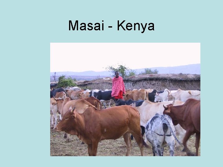 Masai - Kenya 