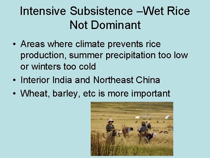 Intensive Subsistence –Wet Rice Not Dominant • Areas where climate prevents rice production, summer