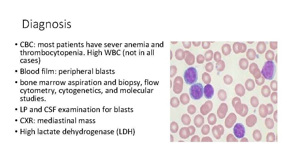 Diagnosis • CBC: most patients have sever anemia and thrombocytopenia. High WBC (not in