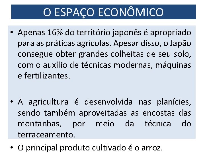 O ESPAÇO ECONÔMICO • Apenas 16% do território japonês é apropriado para as práticas