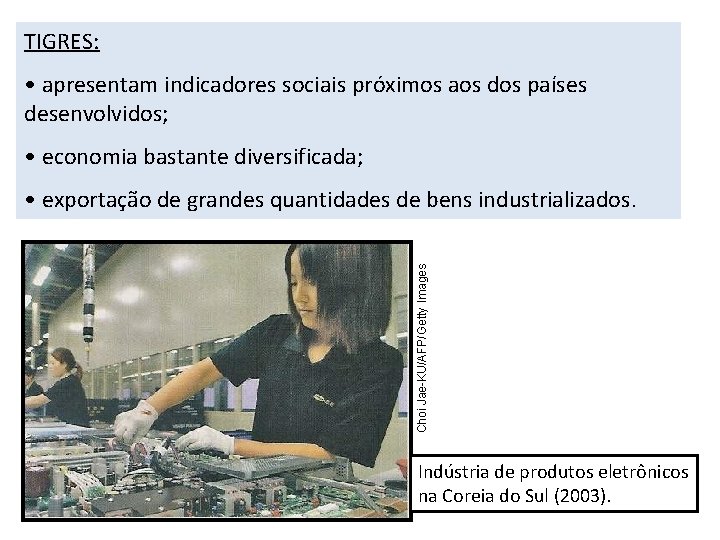 TIGRES: • apresentam indicadores sociais próximos aos dos países desenvolvidos; • economia bastante diversificada;