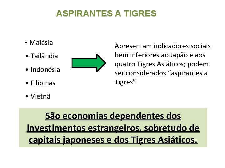 ASPIRANTES A TIGRES • Malásia • Tailândia • Indonésia • Filipinas Apresentam indicadores sociais