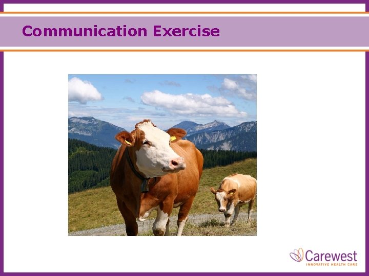 Communication Exercise 