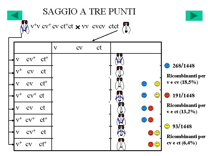 SAGGIO A TRE PUNTI v+v cv+ cv ct+ct v v cv+ ct+ vv v+