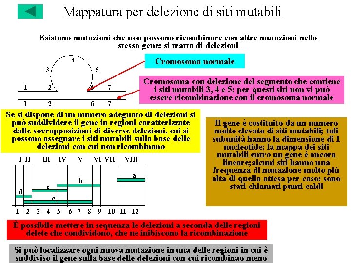 Mappatura per delezione di siti mutabili Esistono mutazioni che non possono ricombinare con altre