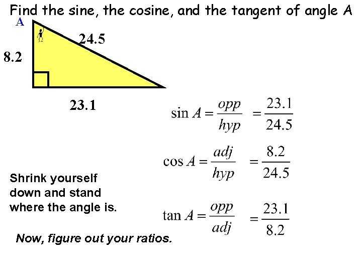 Find the sine, the cosine, and the tangent of angle A A 24. 5