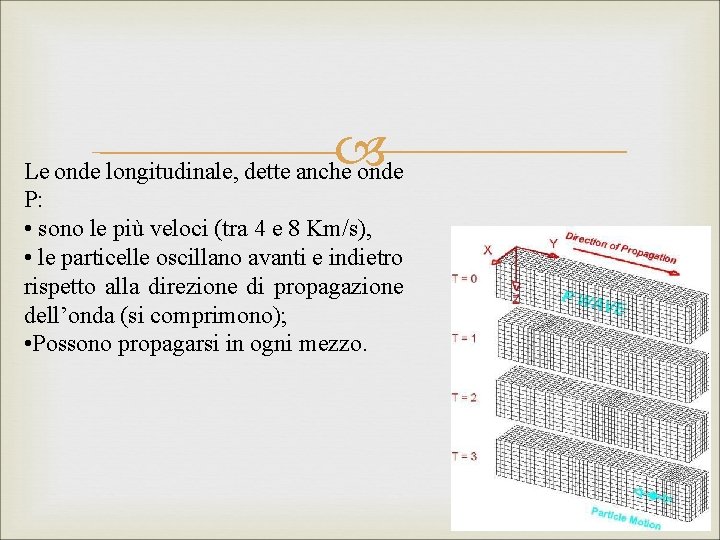  Le onde longitudinale, dette anche onde P: • sono le più veloci (tra