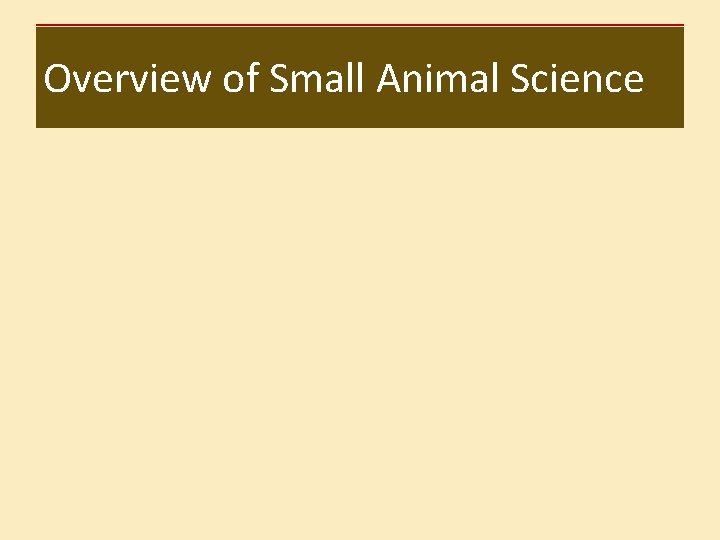 Overview of Small Animal Science 