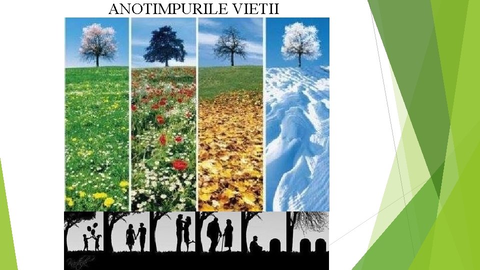 ANOTIMPURILE VIETII 