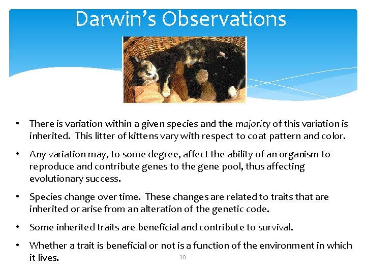 Darwin’s Observations • There is variation within a given species and the majority of